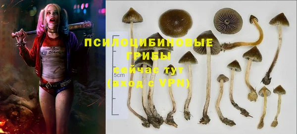 спиды Кодинск